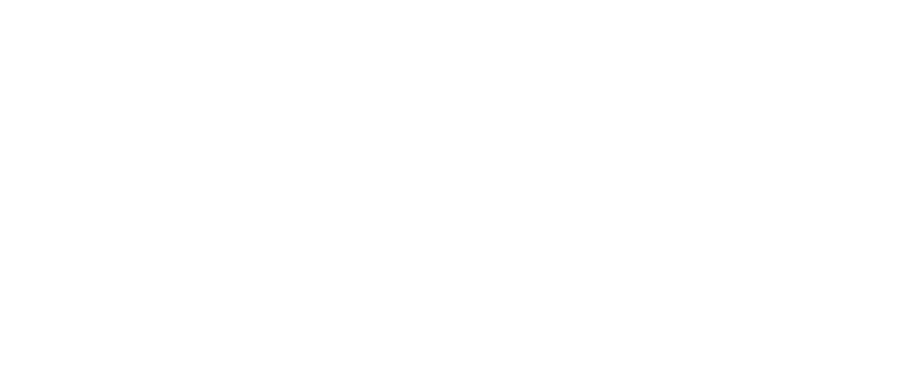 馬肉とホルモンのミックス刺し