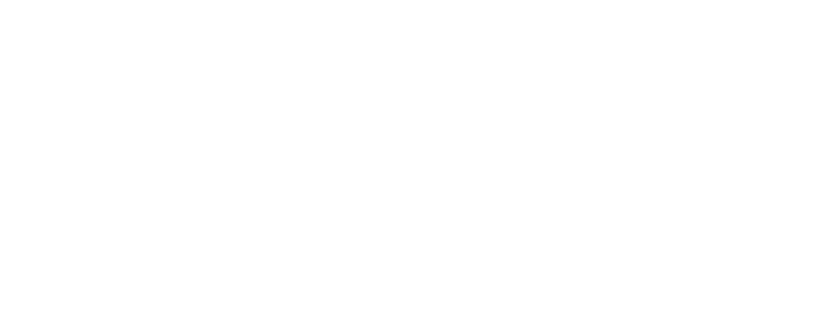 馬肉とホルモンのミックス刺し